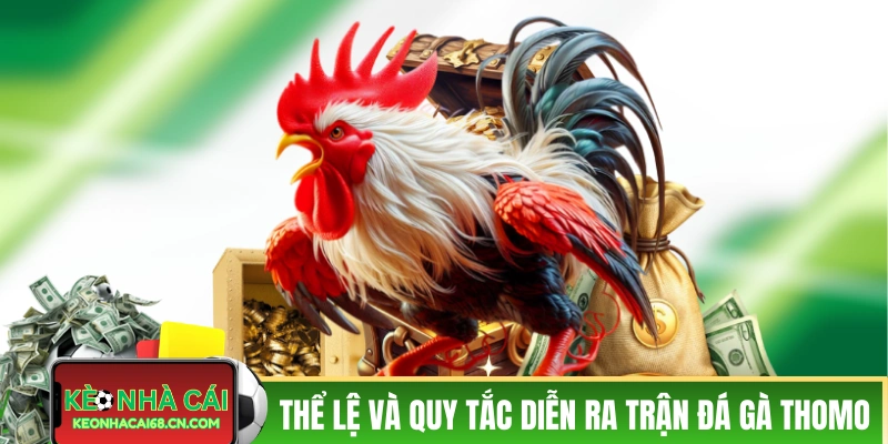 Trực Tiếp Đá Gà Thomo: Sân Chơi Của Chiến Kê Tài Năng 3 Thể lệ và quy tắc diễn ra của trận đá gà Thomo